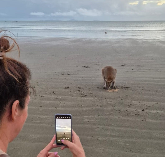 Waarom video meer zegt dan foto's: 12 redenen om te filmen op reis