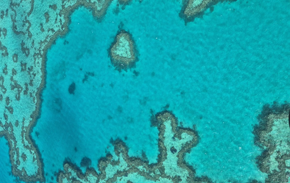 Whitsundays: dit was niet het plan - het was zelfs beter.